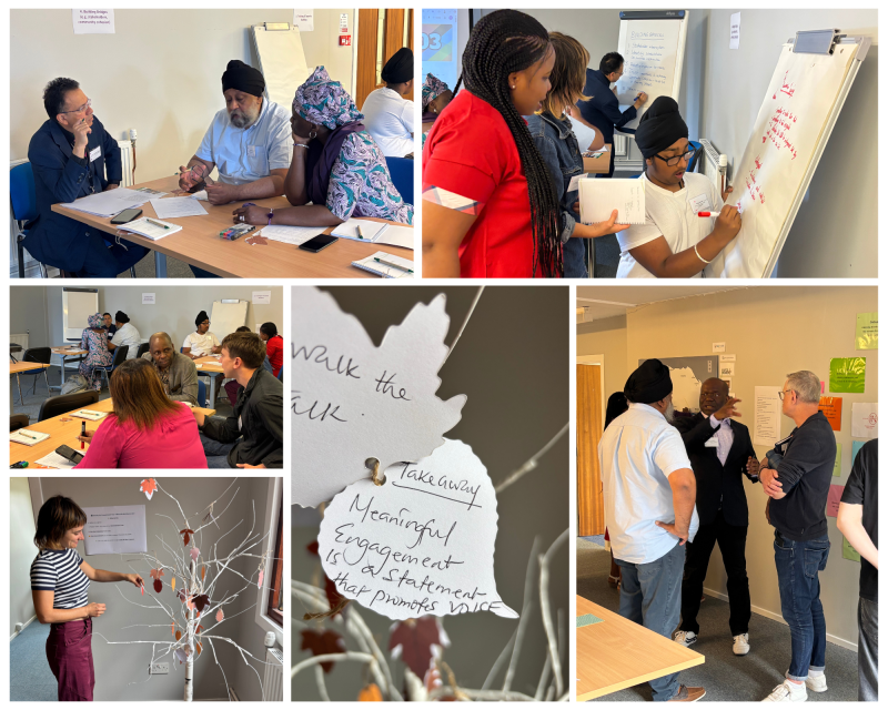 A collage of images from one of the IN-Ren Days. Images show members of IN-Ren engaging in a variety of activities.